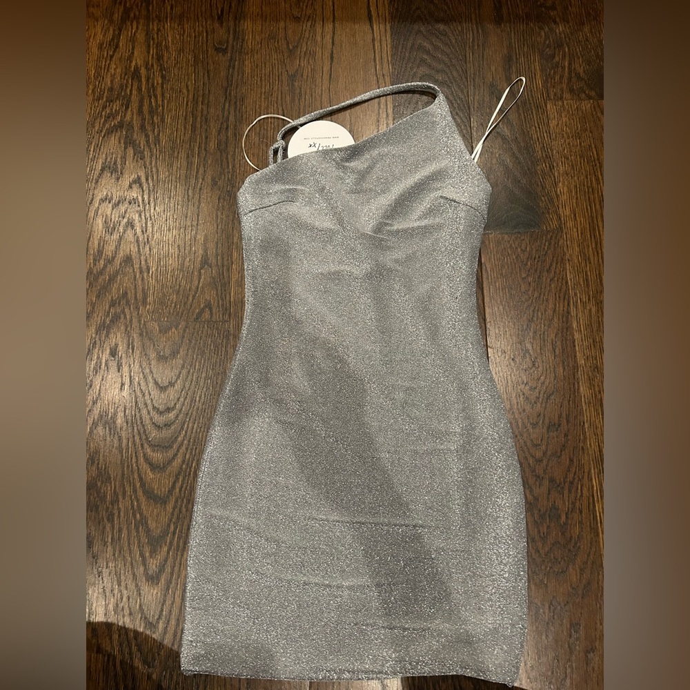 New with tags! Princess Polly Silver Mini Dress